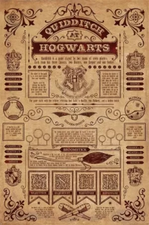 Image of Harry Potter Quidditch at Hogwarts Poster multicolour