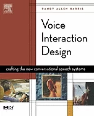 Image of voice interaction design