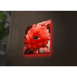 Image of 4040DACT-46 Multicolor Decorative LED Lighted Canvas Painting