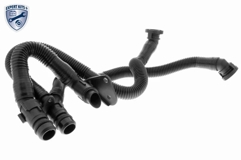 Image of VAICO V10-3503 Crankcase Breather Original VAICO Quality Hose,crankcase breather (1600)
