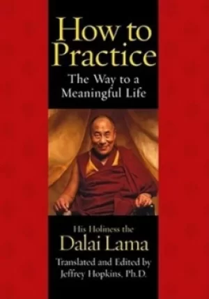 Image of How to Practice by Dalai Lama