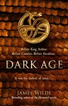 Image of Dark Age : (Dark Age Book 2)