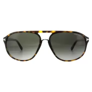 Aviator Dark Havana Smoke Grey Gradient Sunglasses