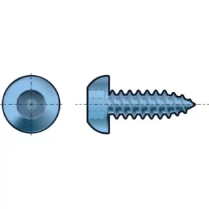 Image of 6X1" A2 St/St Pin Hex Button Self Tapper