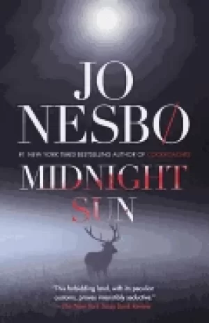 Image of midnight sun