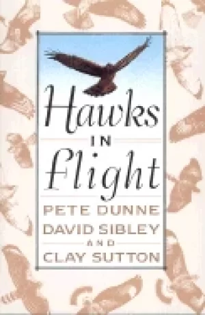 Image of hawks in flight the flight identification of north american migrant raptors