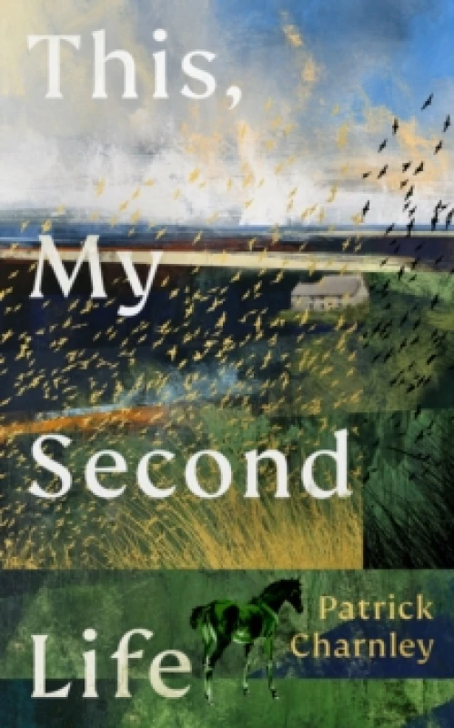 Image of This, My Second Life Hardback