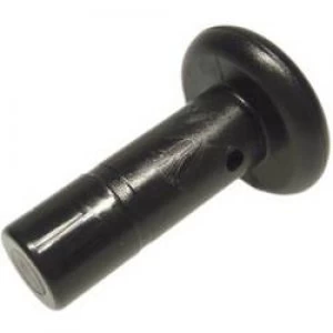 Image of Filler plug DM Fit APL06M Pipe diameter 6 mm