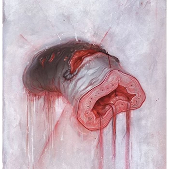 Image of American Heritage - Prolapse Vinyl