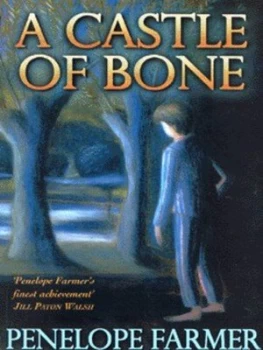 Image of A Castle of Bone by Penelope Farmer Book