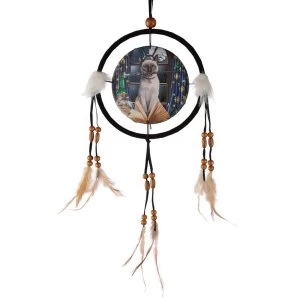 Lisa Parker Hocus Pocus 16cm Dreamcatcher