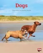 Image of PM Orange: PM Orange: Dogs (PM Non-fiction) Level 15/16