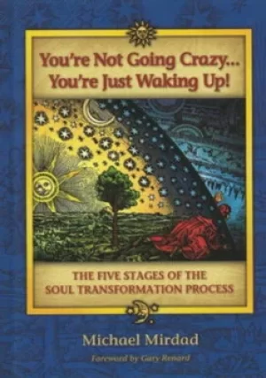 Image of Youre Not Going CrazyYoure Just Waking Up by Michael Mirdad