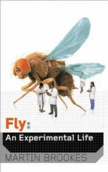 Image of Fly by Martin Brookes Hardback