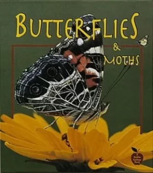 Image of Butterflies and Moths by Bobbie Kalman
