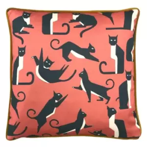 Image of Kitta Geo Cats Pink Cushion Pink/Navy Blue