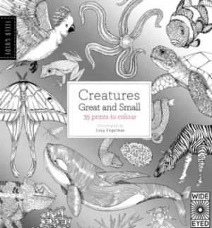 Image of Field Guide Creatures Great and Small by Lucy Engelman