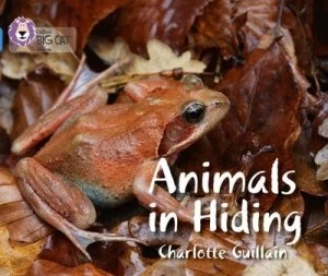 Image of Animals in hiding by Charlotte Guillain