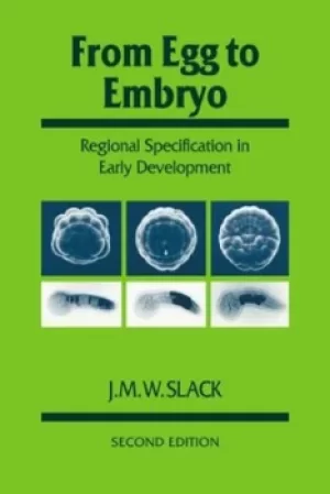 Image of From Egg to Embryo by J. M. W. Slack