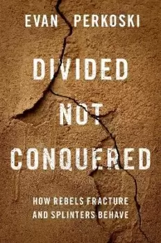Image of Divided Not Conquered by Evan Perkoski