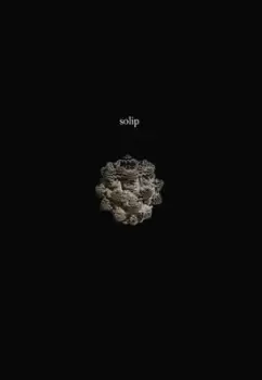 Image of Solip by Ken Baumann