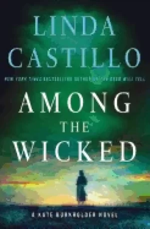 Image of among the wicked a kate burkholder novel castillo linda