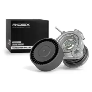 Image of RIDEX Tensioner Lever, v-ribbed belt OPEL,CHEVROLET,VAUXHALL 540T0007 96440419,4805513