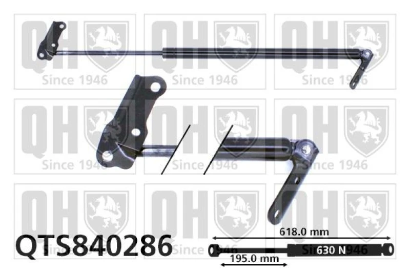 Image of QUINTON HAZELL Tailgate strut QUINTON HAZELL QTS840286