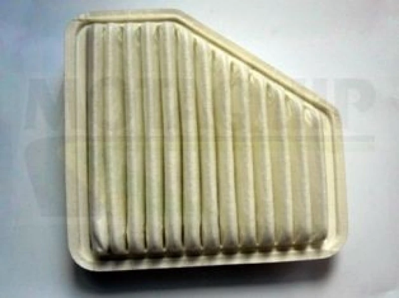 Image of MOTAQUIP Air filter MOTAQUIP VFA1210