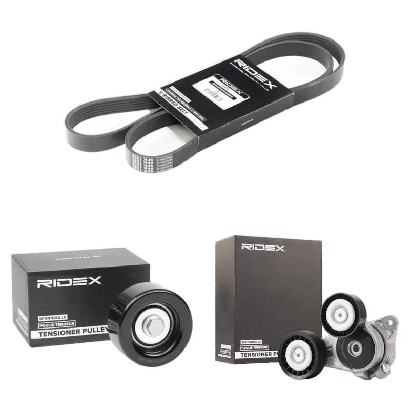 Image of RIDEX 542R0145 V-ribbed belt set V-Ribbed Belt Set (542)