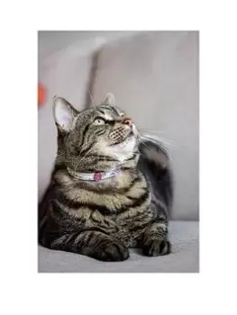 Image of Joules - Cambridge Floral Cat Collar - Twin Pack