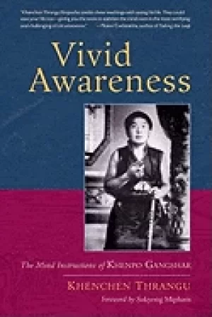 Image of vivid awareness the mind instructions of khenpo gangshar