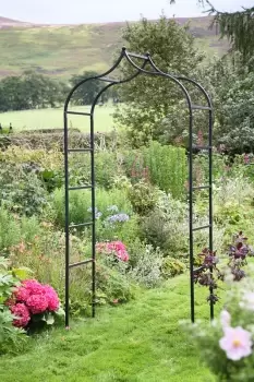 Image of Tom Chambers Black Baroque 240cm x 110cm Metal Steel Garden Flower Rose Arch