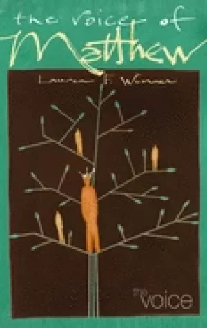 Image of voice the voice of matthew paperback