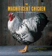 Image of magnificent chicken portraits of the fairest fowl