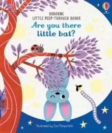 Image of Are You There Little Bat?
