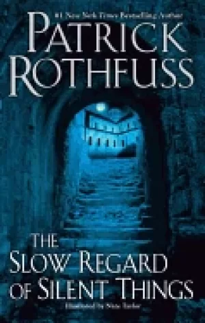 Image of slow regard of silent things