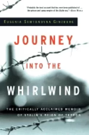 Image of journey into the whirlwind