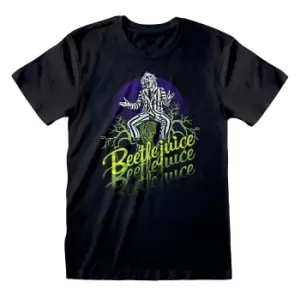 image of Beetlejuice Unisex Adult Triple B T-Shirt (L) (Black)