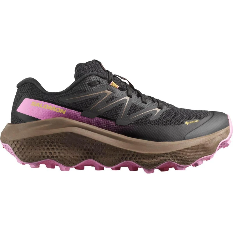 Image of Salomon Shoes Ultra Flow 2 GTX Trail Running Womens Black female 6.5 (40)