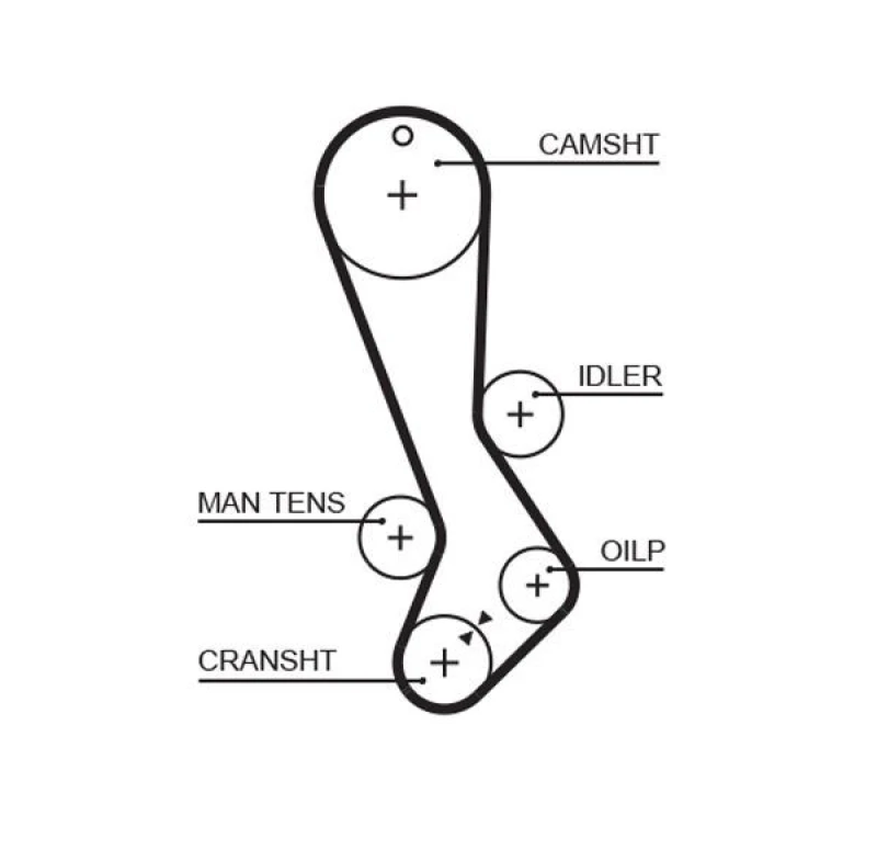 Image of GATES Timing Belt GATES 5282XS