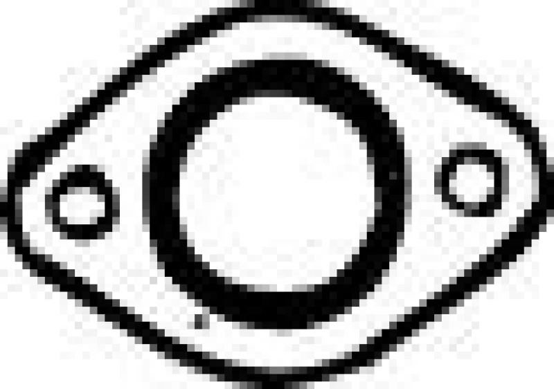 Image of Exhaust pipe gasket VEGAZ FTD-102