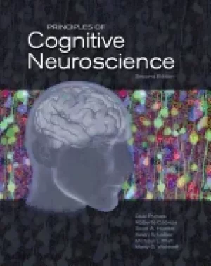 Image of principles of cognitive neuroscience