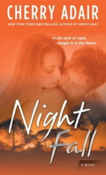 Image of Night Fall by Cherry Adair Book