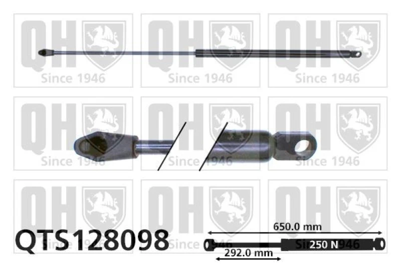 Image of QUINTON HAZELL Tailgate strut QUINTON HAZELL QTS128098
