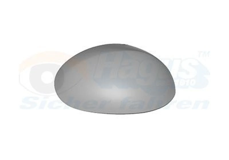 Image of VAN WEZEL Wing mirror cover VAN WEZEL 0910842