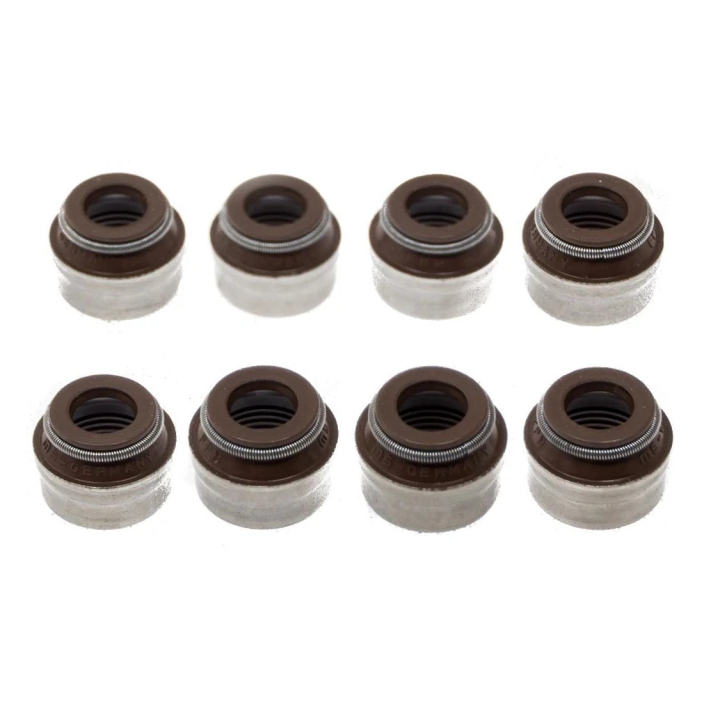 Image of MASTER-SPORT Camshaft seal MASTER-SPORT 8200234651-SET/8/-MS