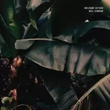 Image of Welcome Oxygen