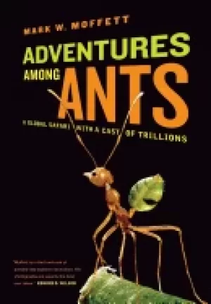 Image of adventures among ants a global safari with a cast of trillions