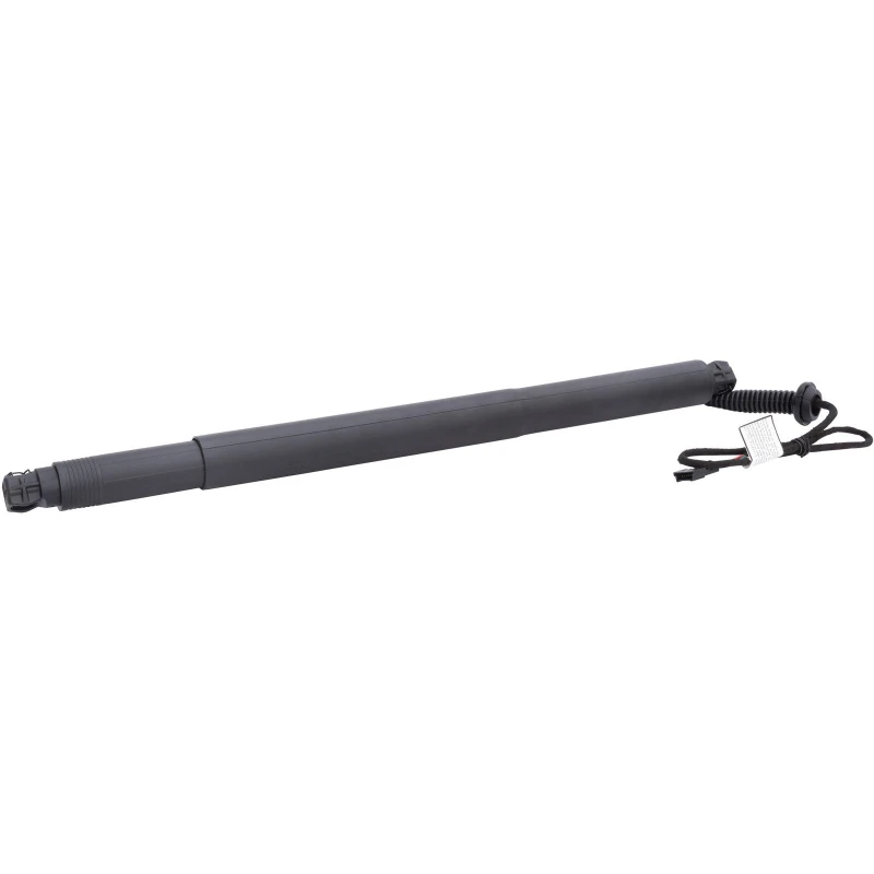 Image of Tailgate strut DIEDERICHS 9100519